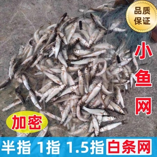 单层渔网粘网餐条白条专用小鱼网丝网沉浮网7分1指马口捕鱼网大全