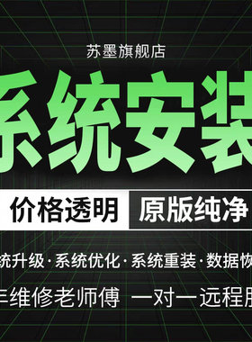 远程做电脑系统重装win7/10/11安装升级专业纯净版台式笔记本刷机