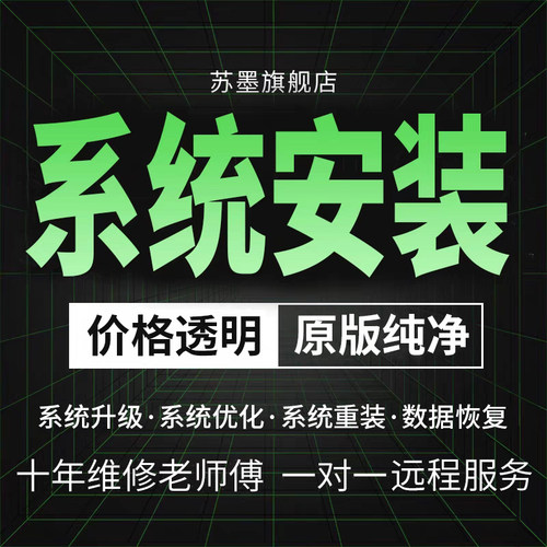 远程做电脑系统重装win7/10/11安装升级专业纯净版台式笔记本刷机