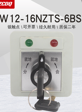 万能转换开关LW12-16NZTS-6BSC LW21带灯带钥匙配电柜分合闸远方