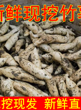 新鲜竹薯现挖冬粉芋根茎薯当季竹芋京东薯清甜粉嫩煲汤火锅煎炒香