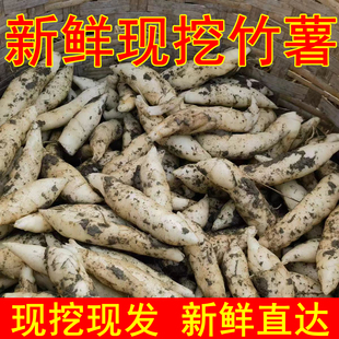 新鲜竹薯现挖冬粉芋根茎薯当季竹芋京东薯清甜粉嫩煲汤火锅煎炒香