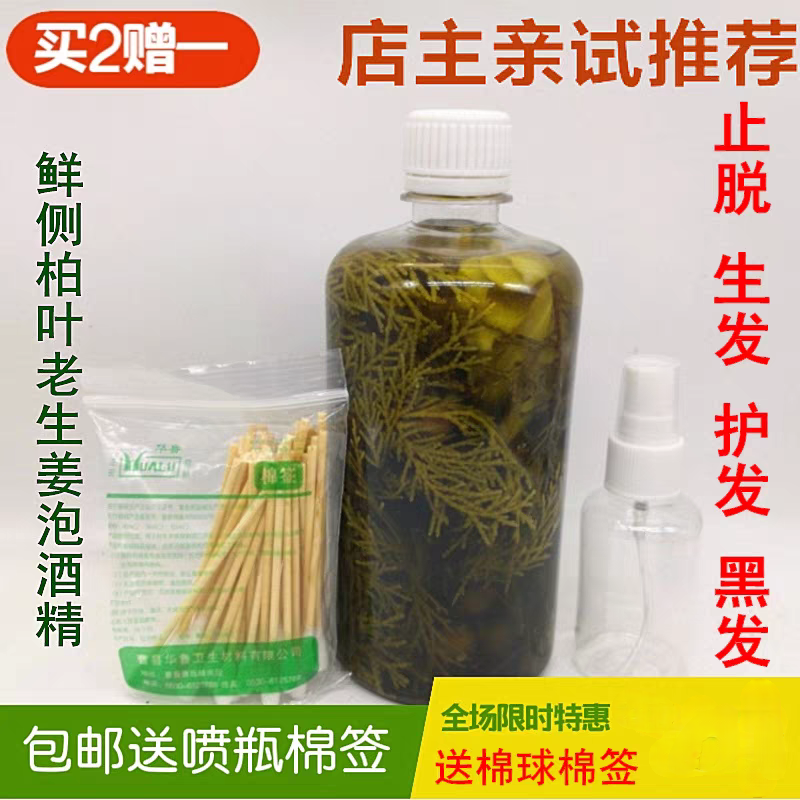 白发新鲜野生侧柏叶泡酒老生姜精发乌脂溢性500g生护密水泡侧柏叶