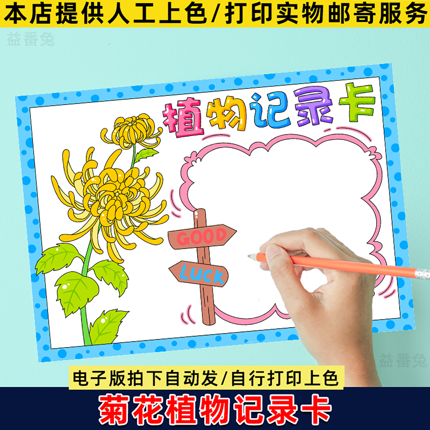 菊花植物记录卡手抄报模板小学生菊花观察记录卡植物名片电子小报