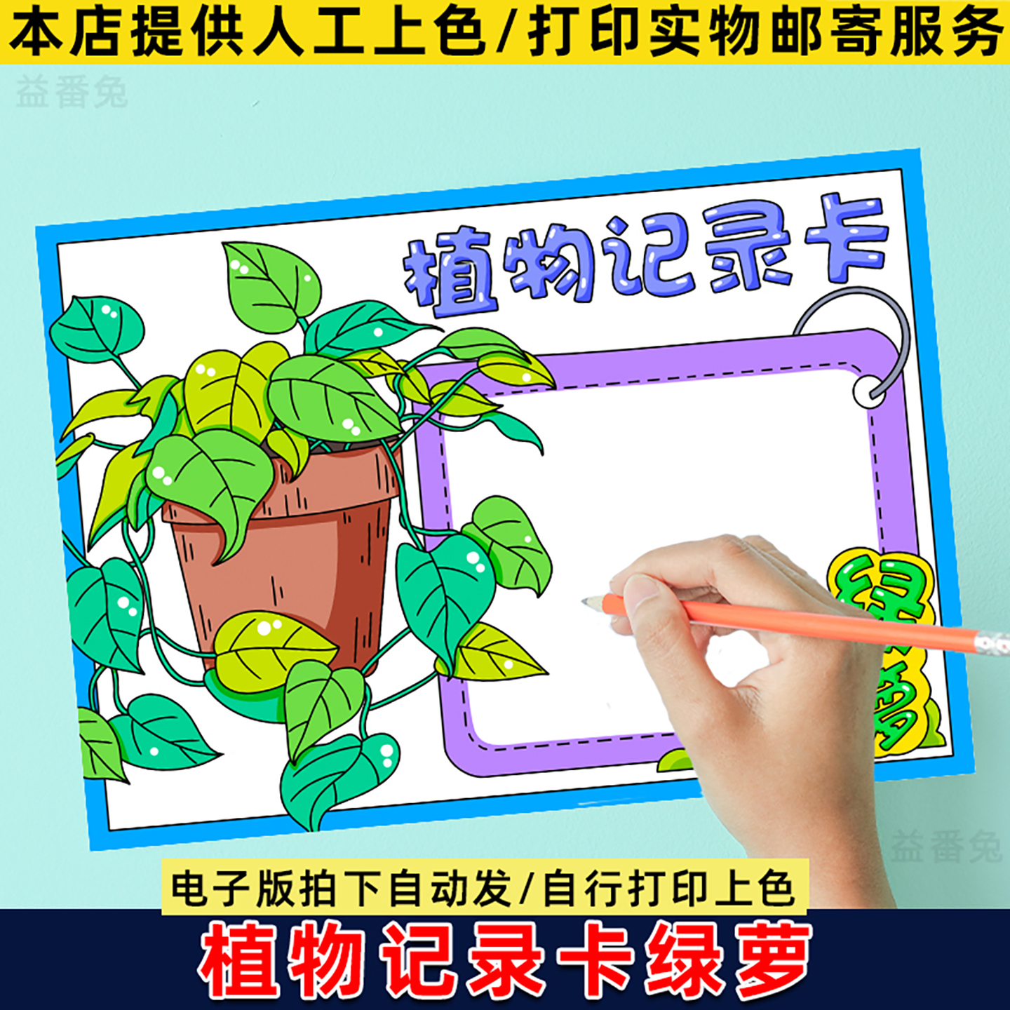 绿萝植物记录卡手抄报模板小学生观察记录卡植物名片模板电子小报