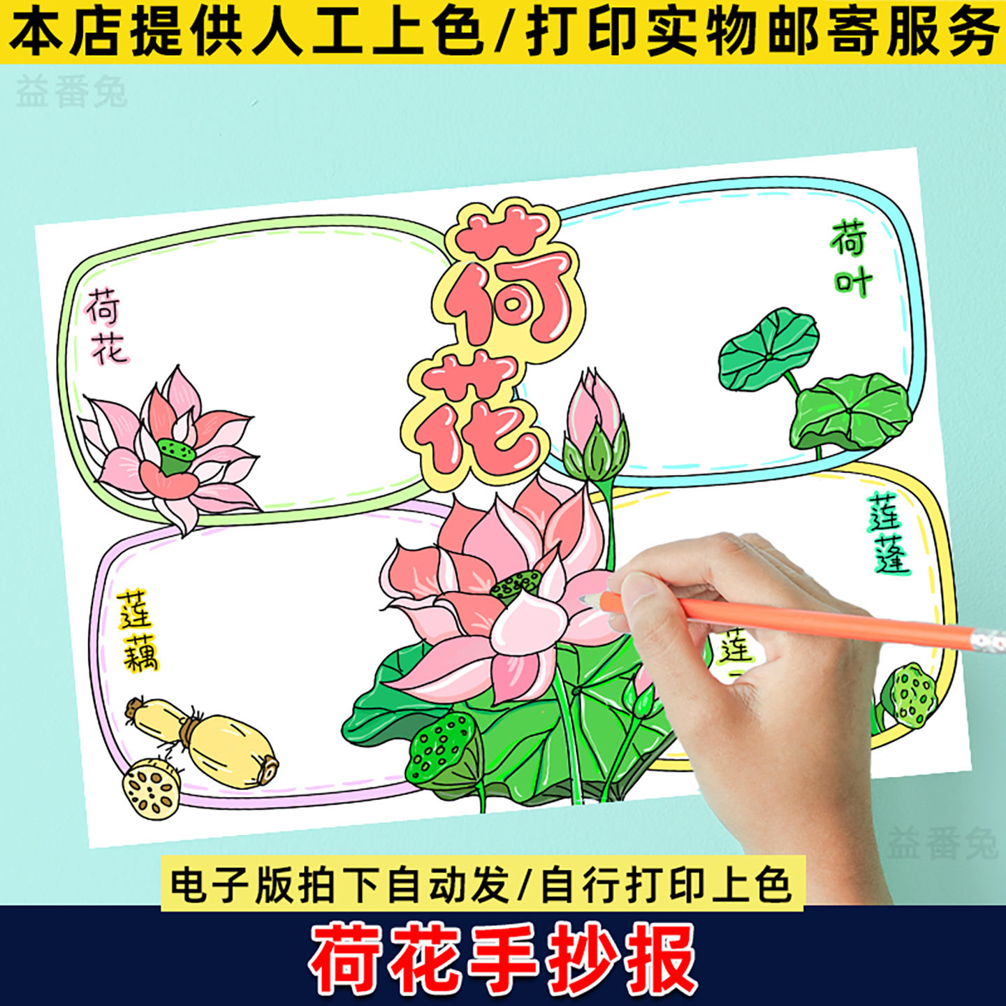 荷花生长记手抄报模板小学生自然笔记植物观察记录电子版线稿小报