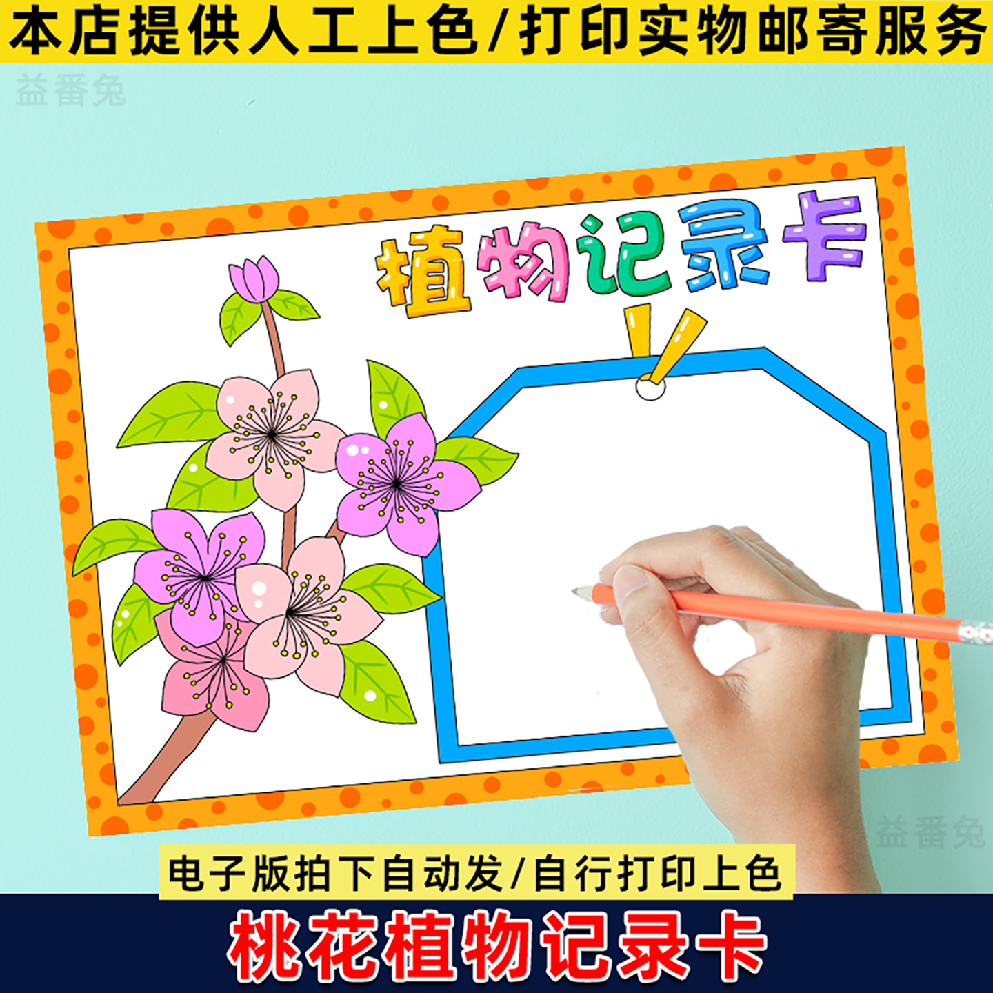 桃花植物记录卡手抄报模板小学生桃花观察记录卡植物名片电子小报