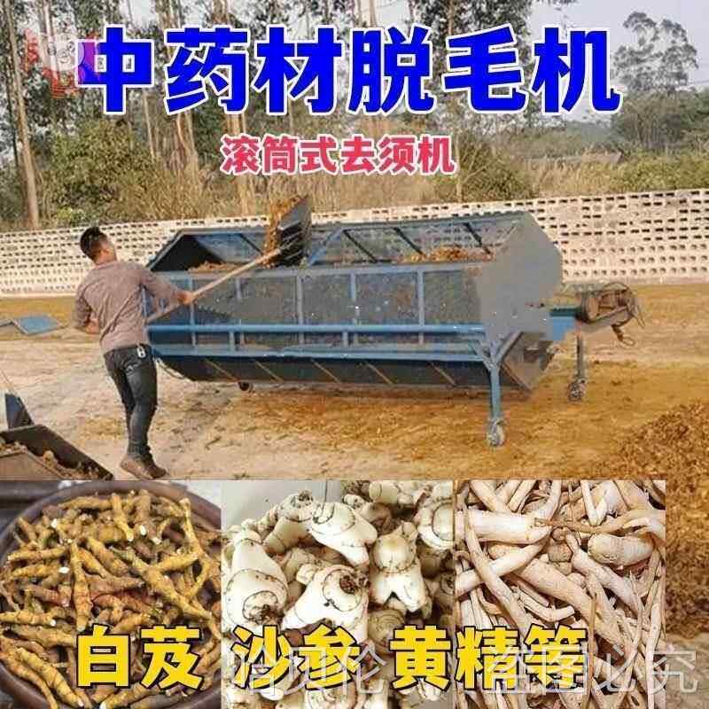 黄精药材除毛机中药白术撞击石菖蒲白芨毛慈姑冰球滚筒去须筛选机