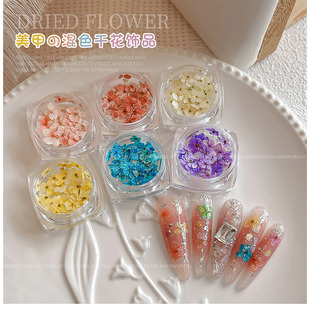 春日干花美甲饰品材料包网红爆款美甲店专用指甲装饰点缀花朵花瓣