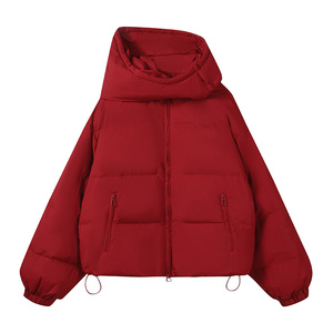 新款现货！23冬季短款立领加厚羽绒服/货号8859/p260控368图片