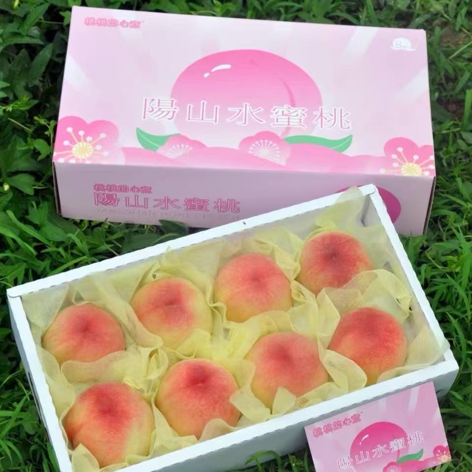 阳山水蜜桃桃子新鲜水果礼盒装