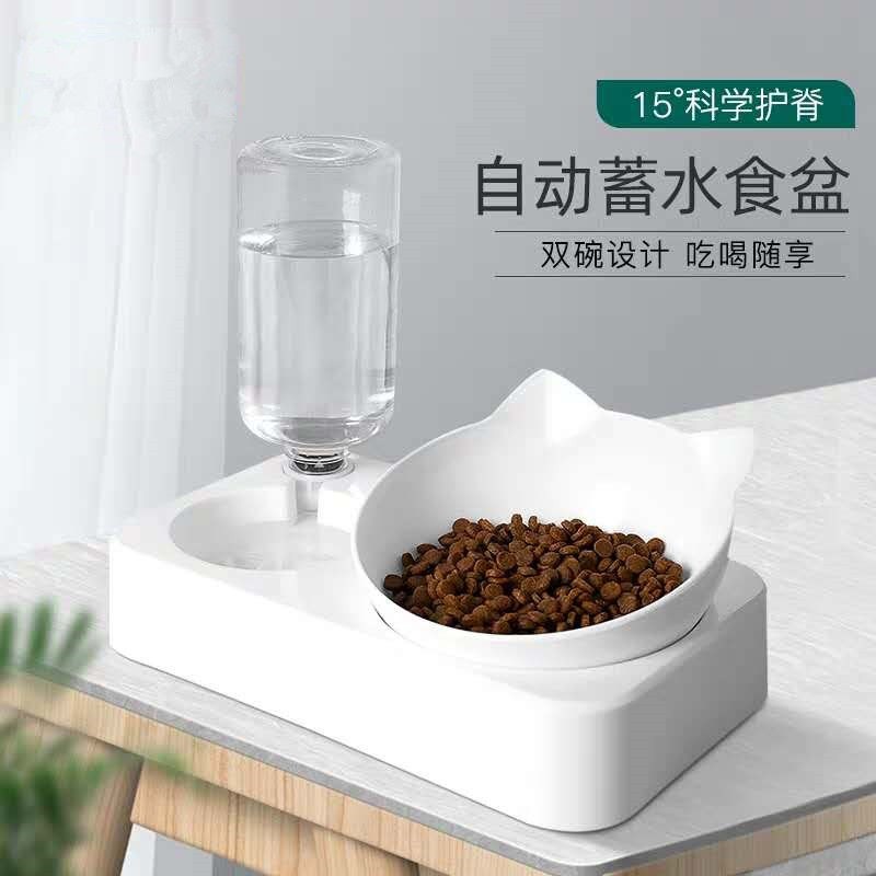 泰迪猫碗双碗防打翻狗盆狗碗