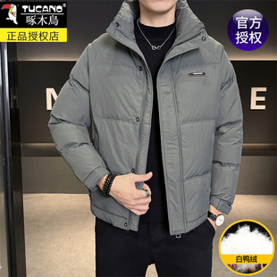 啄木鸟白鸭绒加厚立领羽绒服男装短款2025冬季新纯色保暖外套潮牌