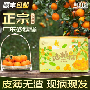 顺丰包邮正宗广东砂糖橘礼盒水果新鲜当季橘子沙糖桔纯甜非无籽