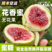 顺丰空运无花果鲜果格莱斯云南昆明新鲜礼盒装 树上完熟蜜糖自然熟