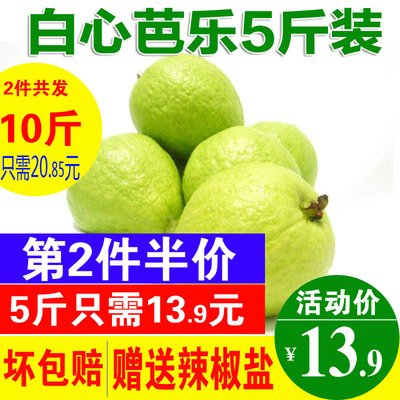 番石榴新鲜白心水果