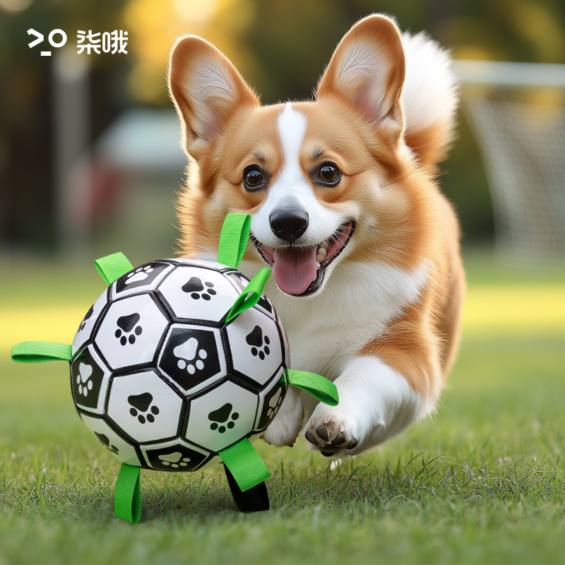狗狗玩具球磨牙耐咬狗狗足球户外专用巡回训练球宠物玩具批发