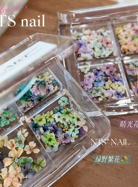 NTS.nail甄选「春日整朵干花」蓝绿色粉黄紫色美甲莫奈油画色干花