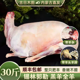 整只全羊套餐30斤 内蒙古新鲜现杀速冻 羊肉羊腿羊排羊蝎子可带皮