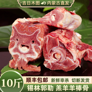 羊棒骨新鲜10斤 内蒙古羊肉 羊蝎子 羊骨头  羊骨髓商用内蒙羊肉