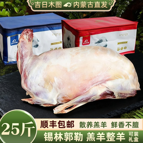 内蒙古烤全羊生羊肉新鲜整只羊