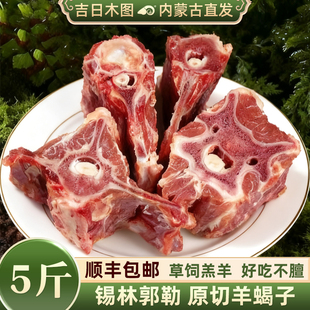 新鲜内蒙古火锅食材 包邮 羊骨头 顺丰 羊龙骨商品 羊蝎子5斤带肉