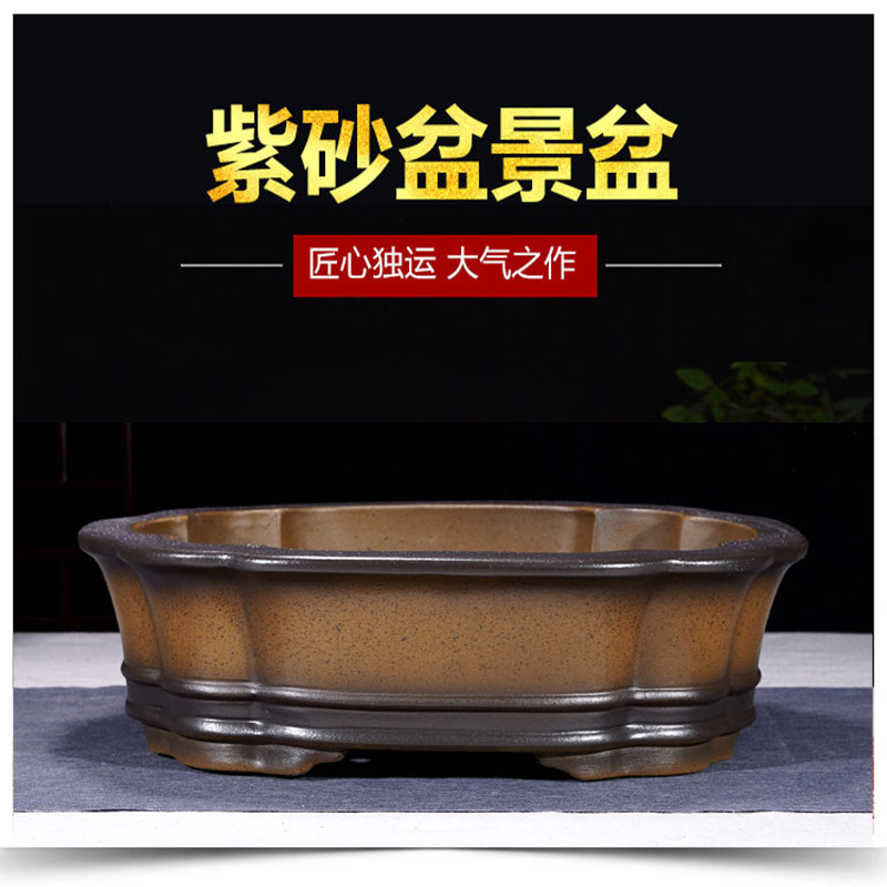 宜兴紫砂盆景盆特大海棠盆长方形椭圆形盆栽花盆阳台庭院盆景盆