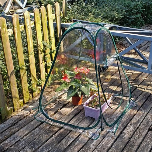 多肉折叠式暖房温室透明防雨保湿