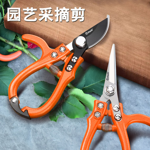 葡萄水果专用翘头修花剪树省力