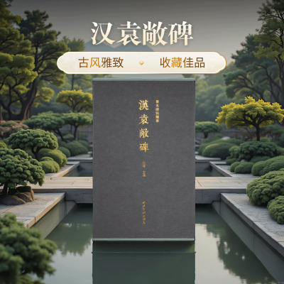 汉袁敞碑一版一印 善本碑帖精华 可平摊高清碑帖原大原色碑刻临摹范本 篆书毛笔书法字帖名帖收藏临习鉴赏国家图书馆藏本西泠印社