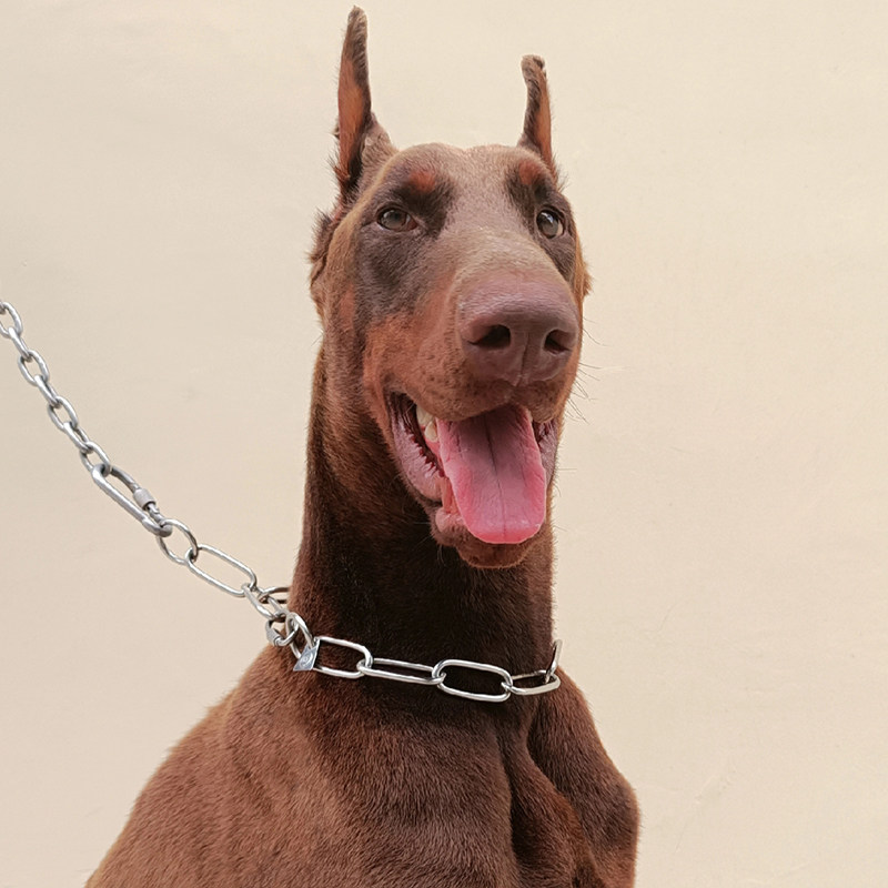 不锈钢狗链中大型犬专用P链蛇链金属项圈防爆冲脖链大方目狗脖圈
