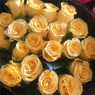 黄玫瑰金枝水养鲜切花云南昆明基地直发同城速递情人节包邮鲜花束