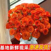 橙色芭比多头泡泡小玫瑰云南昆明基地直发同城鲜花花束情人节