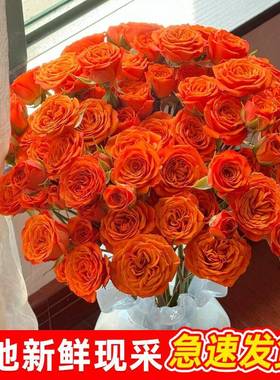 橙色芭比多头泡泡小玫瑰云南昆明基地直发同城鲜花花束元旦节