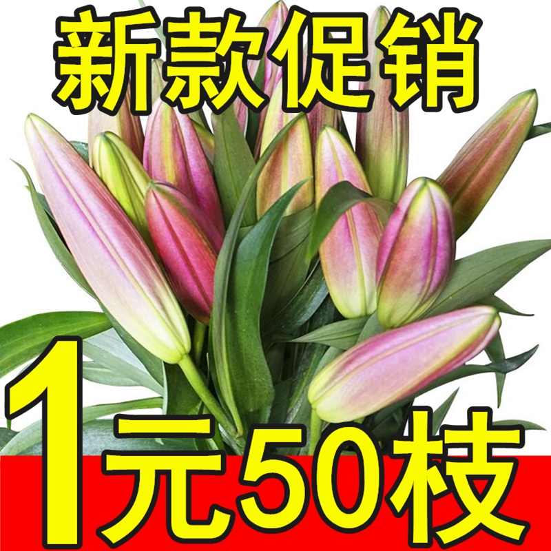 大头香水百合花束基地直发云南鲜花昆明直批直发速递同城水养玫瑰-封面