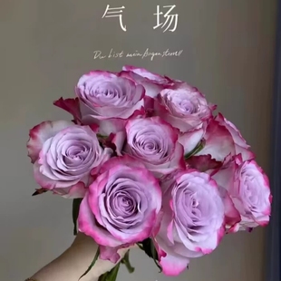 气场玫瑰红粉白玫瑰鲜花云南昆明基地直发同城速递多头泡泡情人节