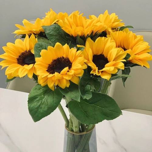 向日葵鲜花云南昆明斗南花卉新鲜现采风铃鲜花玫瑰百合基地包邮发