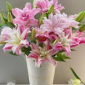 粉色重瓣香水百合花束基地直发云南鲜花昆明直批直发速递同城 包邮