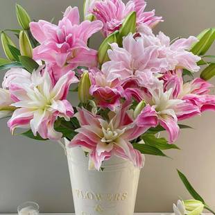 粉色重瓣香水百合花束基地直发云南鲜花昆明直批直发速递同城包邮