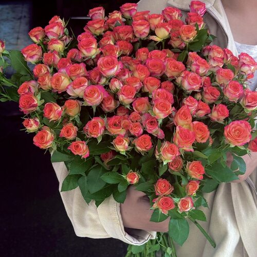 爱丽丝多头玫瑰鲜花云南昆明基地直发水养家用同城速递包邮情人节