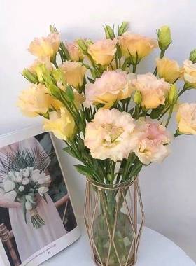 洋桔梗水养鲜切花花束云南昆明基地直发百合玫瑰节日花束包邮同城