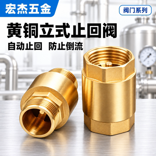 黄铜立式止回阀防倒流不锈钢弹簧