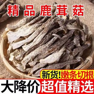 鹿茸菇干货500g鹿茸菌非特级鹿茸菇古田特产脆脆菇煲汤材香菇包邮