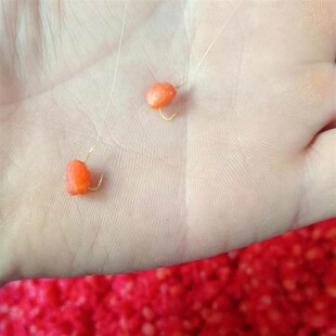 老吴的窝料(鲫鱼综合窝料500g,麦仁可挂钩,可选饵料谷麦钓麦套餐)