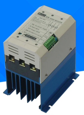 全新原装STSCR-1-4-040P台湾TAISEE模拟式电力调整器SCR厂家直销