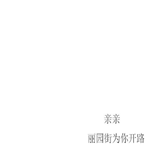 樱舒理ES928/968/900/958/908/988/920/960/969/998/963陶瓷刀头