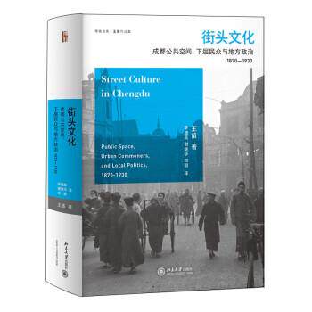 正版包邮  街头文化 9787301335734 王笛 北京大学出版社
