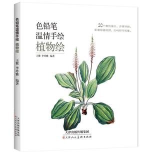正版包邮  TM色铅笔温情手绘 植物绘 9787530590195 天津人民美术出版社 王紫,李玲雅 著