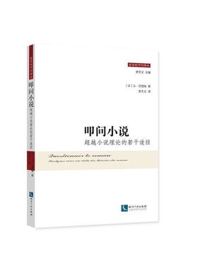 正版包邮  叩问小说: 小说理论的若干途径 9787513049139 知识产权出版社 让 贝西埃