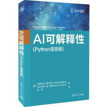 正版包邮  AI可解释性（python语言版） 9787302605690 [意]列奥尼达·詹法纳,安东尼奥·迪·塞科著,郭涛 译 清华大学出版社